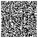 QR code with Christian Dorothy L contacts