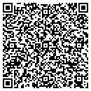 QR code with Counseling Institute contacts