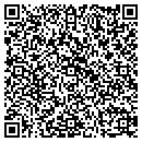 QR code with Curt A Cochran contacts