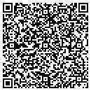 QR code with Collier Gina M contacts
