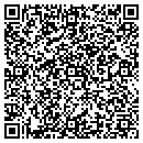 QR code with Blue Streak Connect contacts