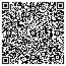 QR code with Pyle Holly L contacts