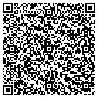 QR code with C2P2 Green Clean contacts