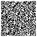QR code with Cambridge Systematics contacts