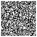 QR code with Crystal Travel Inc contacts