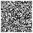 QR code with Carter Jeffrey B DDS contacts
