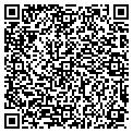 QR code with Fitch contacts