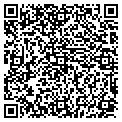QR code with Lally contacts