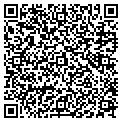 QR code with Mjw Inc contacts