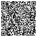 QR code with Stlm contacts