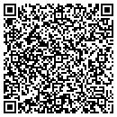 QR code with Pro Connect Inc contacts
