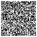 QR code with Castillo Lawn Service contacts