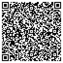 QR code with Cynthia L Johnston contacts