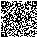 QR code with Newbez contacts