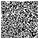 QR code with Professional Delivery contacts