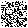 QR code with Capsef contacts