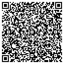 QR code with Carl Julia A contacts