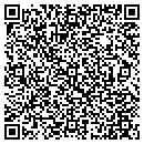 QR code with Pyramid Transportation contacts