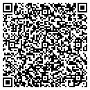 QR code with Pro Line Systems Intl contacts