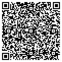 QR code with Necds contacts