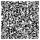 QR code with Spring Cleaning Services contacts