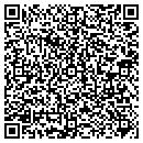 QR code with Professional Polymers contacts