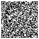 QR code with Purity Link Inc contacts