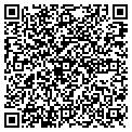 QR code with Gerico contacts