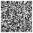 QR code with Pro Systems One contacts