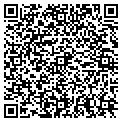 QR code with Excel contacts