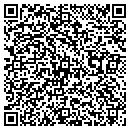 QR code with Princeton Pc Systems contacts