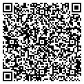 QR code with Ctgy contacts
