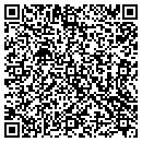 QR code with Prewitt's Playhouse contacts