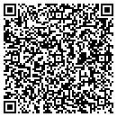 QR code with Blue Dolphin LLC contacts