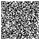 QR code with Cronin Laura A contacts