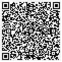 QR code with Coface contacts