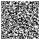 QR code with Puhl Michael S contacts