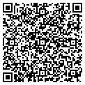 QR code with I-Werx contacts