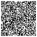 QR code with Carlisle Vicki P MD contacts