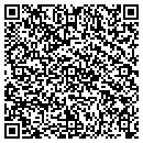 QR code with Pullen Nessa M contacts