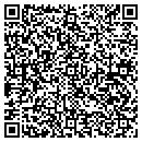 QR code with Captive Colors LLC contacts