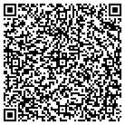 QR code with Pulsar Transportation Corp contacts