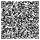 QR code with Collins Damian J MD contacts