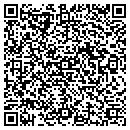 QR code with Cecchini Anthony MD contacts