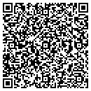 QR code with Biogemex Llp contacts