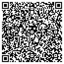 QR code with Purple Onion contacts