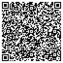 QR code with Publix contacts