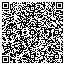QR code with Cygnusio LLC contacts
