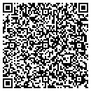 QR code with Bluebird LLC contacts