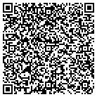 QR code with Punchbowl Productions LLC contacts